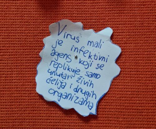 thumbnail 20210210 113707